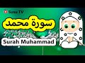 Surah Muhammad Susu Tv سورة محمد سوسو تيفي 