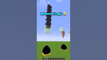 Minecraft Dragon Egg Logic 😂