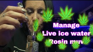 The manage live ice water rosin 👅 #muv  #medicalmarijuana