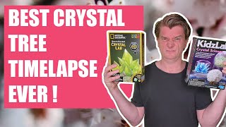 Science Kit Reviews - Grow Your Own Crystals [2021]