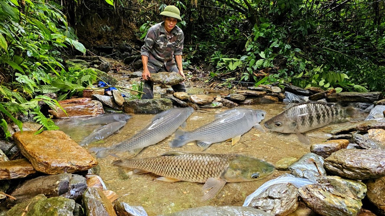 A free life in the forest, fishing, hunting, living in harmony with nature.