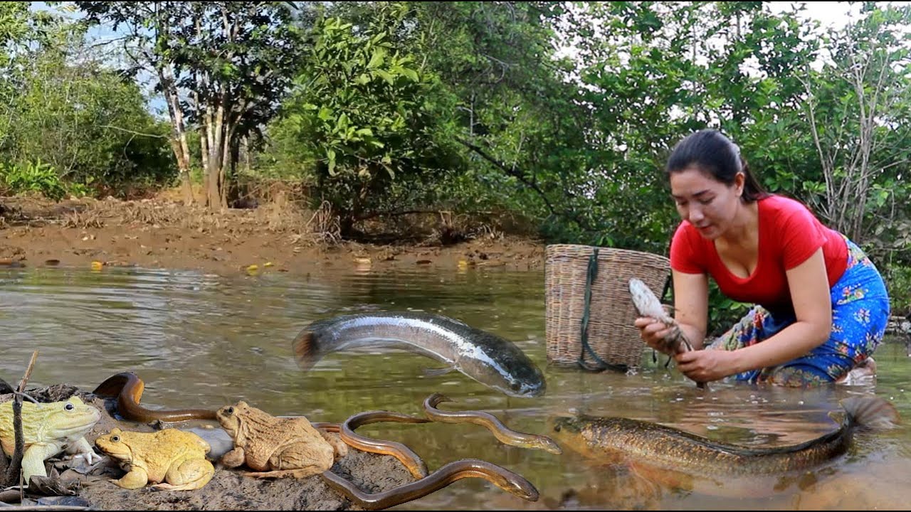 Catch and cook fish . ell .frog of survival- Cooking fish crispy with ...