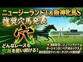 【ニュージーランドT2026＆阪神牝馬S2026】推奨穴馬発表！どちらも全く人気がない超大穴狙います！両馬ともにここまで人気がないのであれば十分期待できる！
