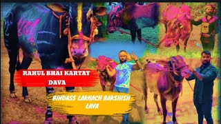 RAHUL BHAI KARTAY DAVA. 1001 👑 ..DJ ROHIT