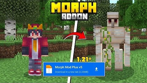 MORPH MOD FOR MINECRAFT PE 1.20/1.21 || MORPH INTO ANY MOB