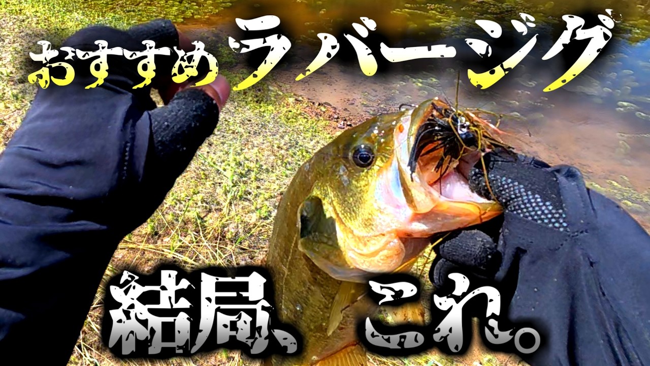 はじめてのラバージグ。超釣れる買っても絶対後悔しないやつがこちら