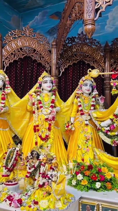 Today’s Darshan of Sri Sri Radhamadhava
