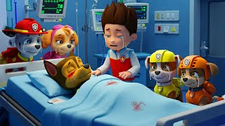 Download Lagu Paw Patrol Ultimate Rescue | We Miss You...Chase Please Wake Up!! Don't Leave Paw Patrol | Rainbow 3 MP3 Download Lagu Paw Patrol Ultimate Rescue | We Miss You...Chase Please Wake Up!! Don't Leave Paw Patrol | Rainbow 3 MP3