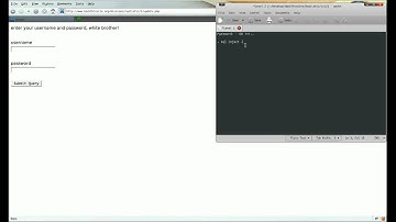 Level 2 - Realistic | Hack This Site