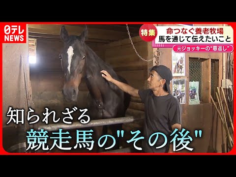 【馬と命】殺処分を免れ…  引退馬と伝える”命” 元ジョッキーの思い　新潟　NNNセレクション
