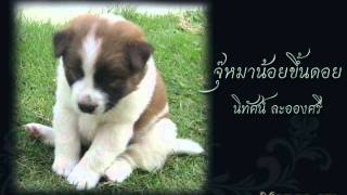 จุ๊หมาน้อยขึ้นดอย-นิทัศน์ ละอองศรี