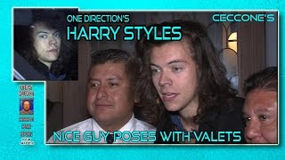 One Directions Harry Styles No Comment on Zayn Malik Replacement
