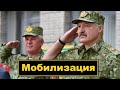 Силовики начали эвакуацию своих семей / Лукашенко начал Мобилизацию