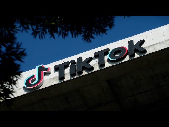 Former TikTok CEO Mayer: TikTok Is an Independent Company