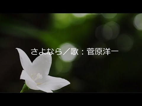 さよなら／歌：菅原洋一／詞・曲：溝川辰夫