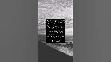 الآية 12 من سورة السجدة بصوت ناصر القطامي