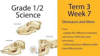 Grade 1/2 - Science - Term 3 - Week 7