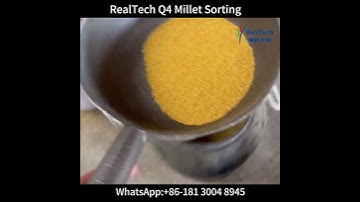 4 Chute Color Sorter for Millet Sorting-RealTech Q4