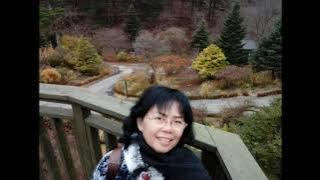 SAKSI GITAR TUA    GONG 2000