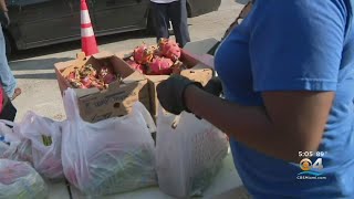 Opa-Locka Food Distribution Helps Hundreds Of Residents
