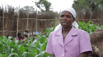 FAO - Building Resilience in Rural Communities in Southern Africa