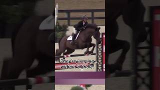 Yes, you saw that right! 👀This incredible pair is jumping bridleless in Ocala!