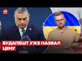 "Откупятся": Как Европа договорится с Венгрией по нефтяном эмбарго