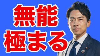 【セクシー大臣】小泉進次郎を総理にしたらダメな理由【WiLL増刊号#454】
