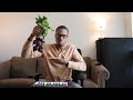 when you order beats from wish.com