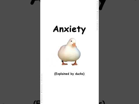 Anxiety Explained By Ducks