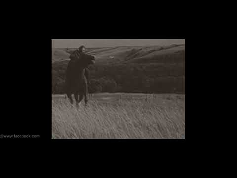 თემურ ელიავა - ტანთ ასი მგლის ტყავი ეცვა