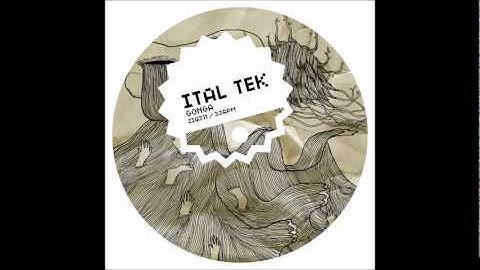 Ital Tek - Gonga