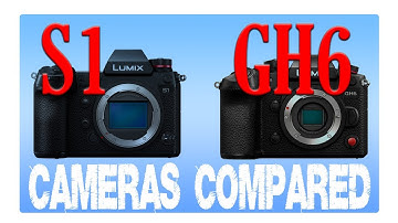 Panasonic GH6 vs S1 - Rambling on exterior dimensions