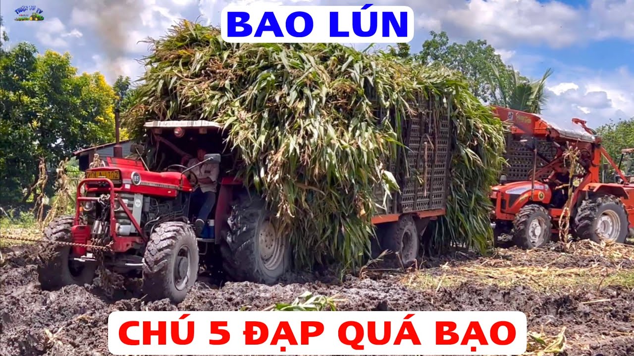 Chú tài xế đạp quá căng sợ nằm trong bãi không ra được