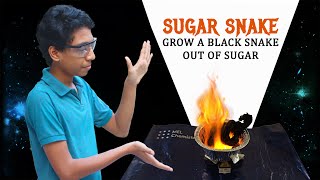 Sugar Snake Experiment | MEL Chemistry Lite Unboxing + Review