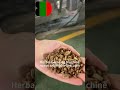 herbal grinding mill/ air classifier mill work video
