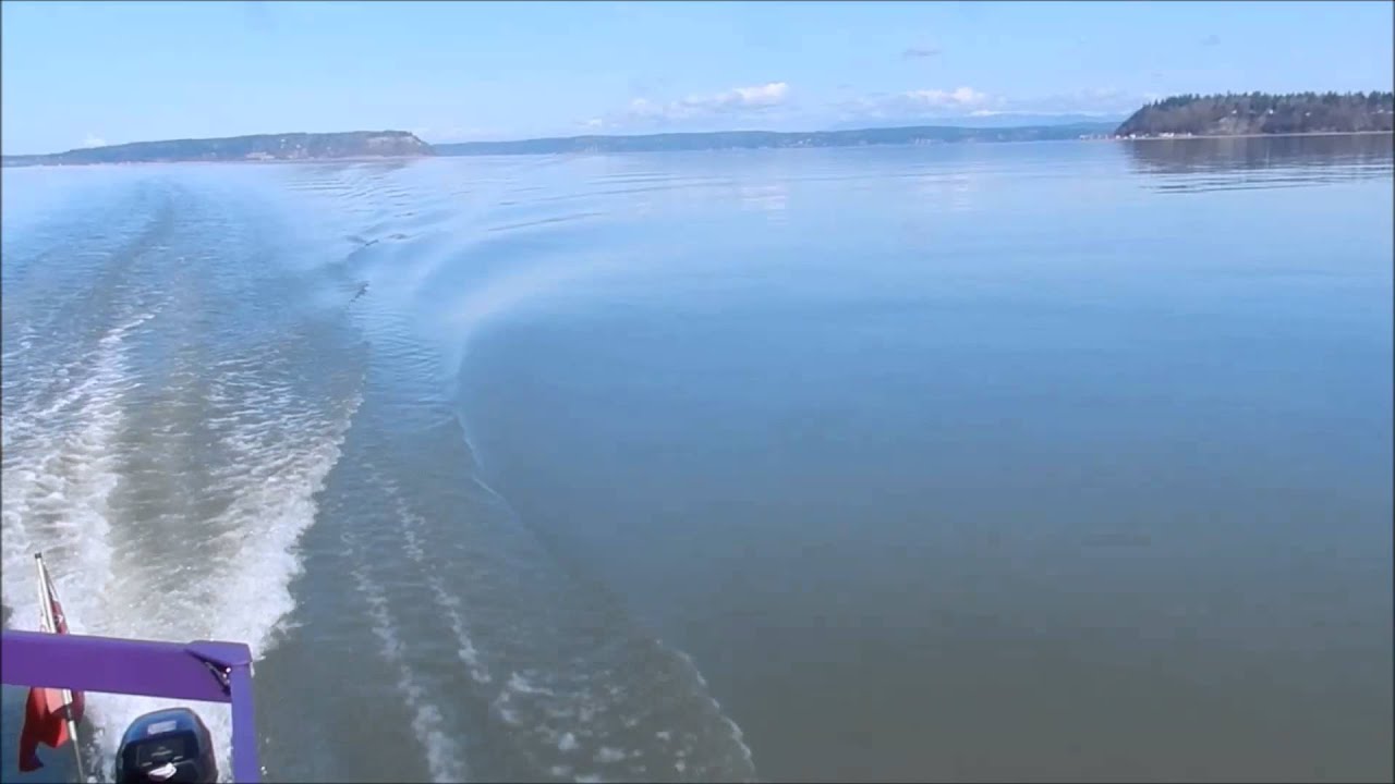 Our 60th Birthday Cruise in the PNW