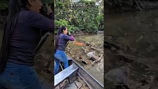 Pretty Girl Fishing In A Den Of Savage Fish Rod Bends Hard