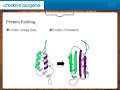 Codons Optimization-Creative Biogene