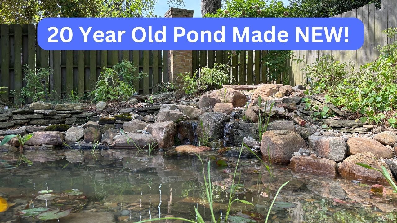 Let's Rebuild This Old Koi Pond and Waterfall!