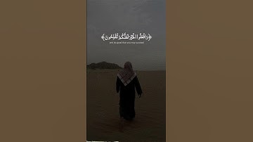 علي جابر  حالات واتساب قران كريم ❤