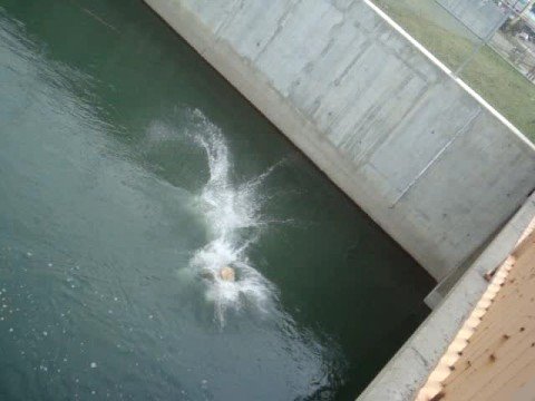 High River Bridge Jump - Hayley & Shelby