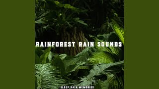 Relaxing Sound of Rain