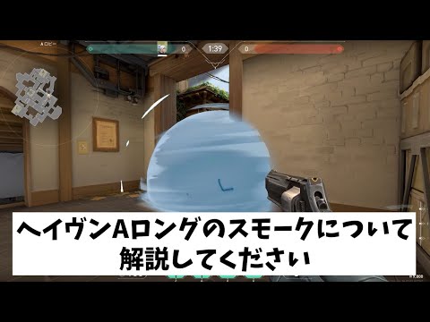 VALORANT法律部門　弁護士ジェット