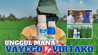 Adu keunggulan vayego vs virtako - perbedaan obat hama insektisida vayego 200sc dengan virtako 300sc