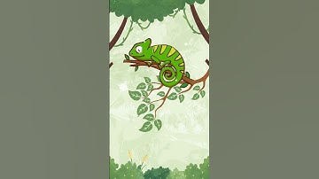 How chameleons change colors?