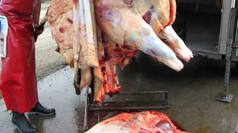 Beef Killing