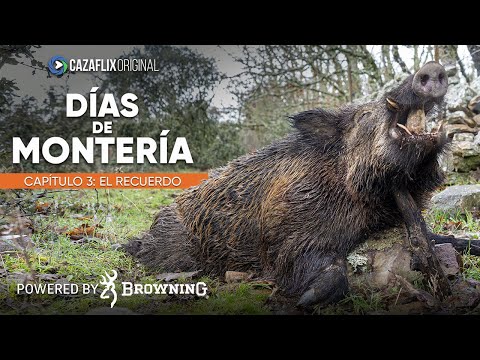 Días de Montería #3 | El Recuerdo ✅ Puestazo de CIERVO y JABALÍ en Alcántara | Cáceres