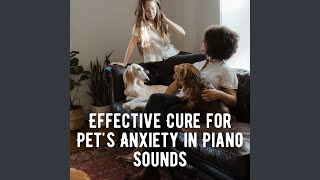 Gentle Notes for a Relaxed Pet