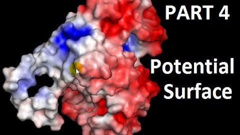 pymol electrostatic surface - Part 4